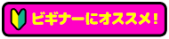 ビギナーにオススメ